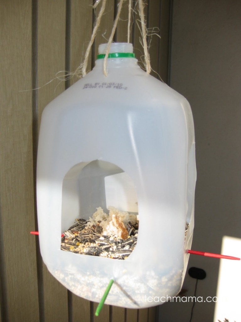 milk jug feeder for backyard birds  teachmama.com