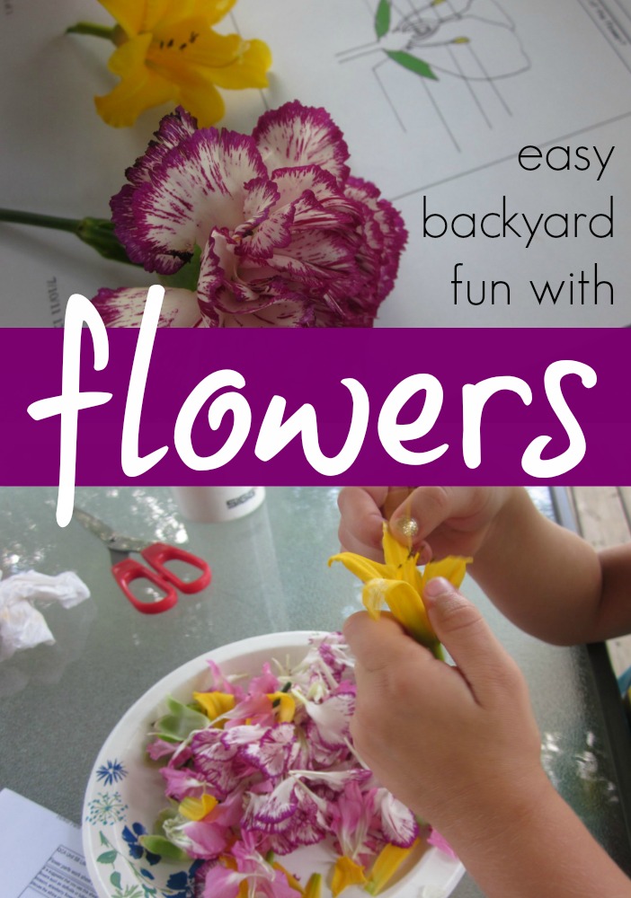easy backyard fun with flowers: dissecting, examining, and learning about flowers