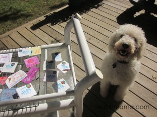 homemade back-to-school lunchbox notes