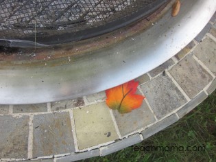 leafy, outdoor alphabet letter hunt