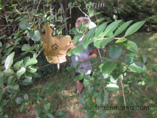 leafy, outdoor alphabet letter hunt