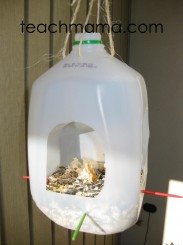 homemade bird feeder