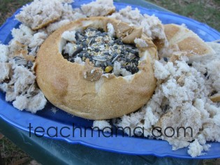 backyard bird food, making the most of holiday clean-up