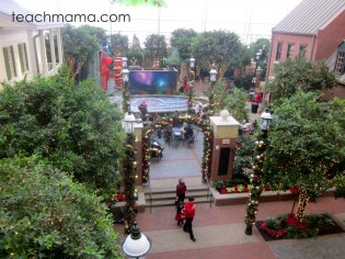 gaylord national ICE