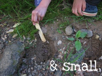 5 easy ways to raise earth-friendly kids