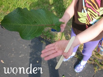 5 easy ways to raise earth-friendly kids