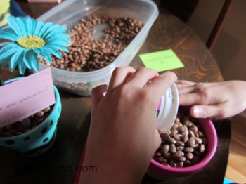 how to make flower pens