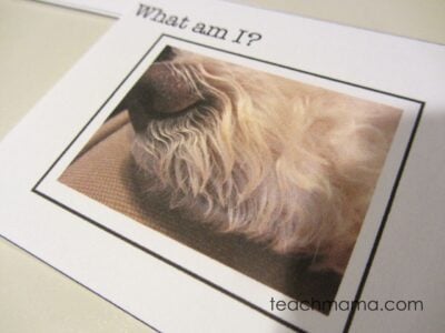 wordless riddle lunchbox notes