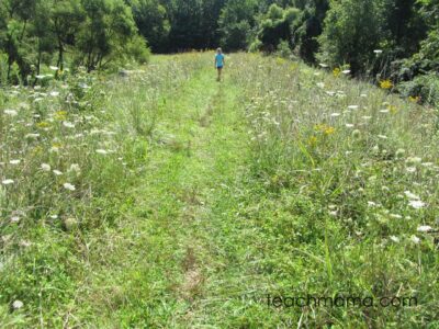 geocaching park