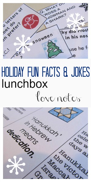 holiday fun fact and joke lunchbox notes cover