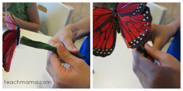 butterfly pens butterfly wrap