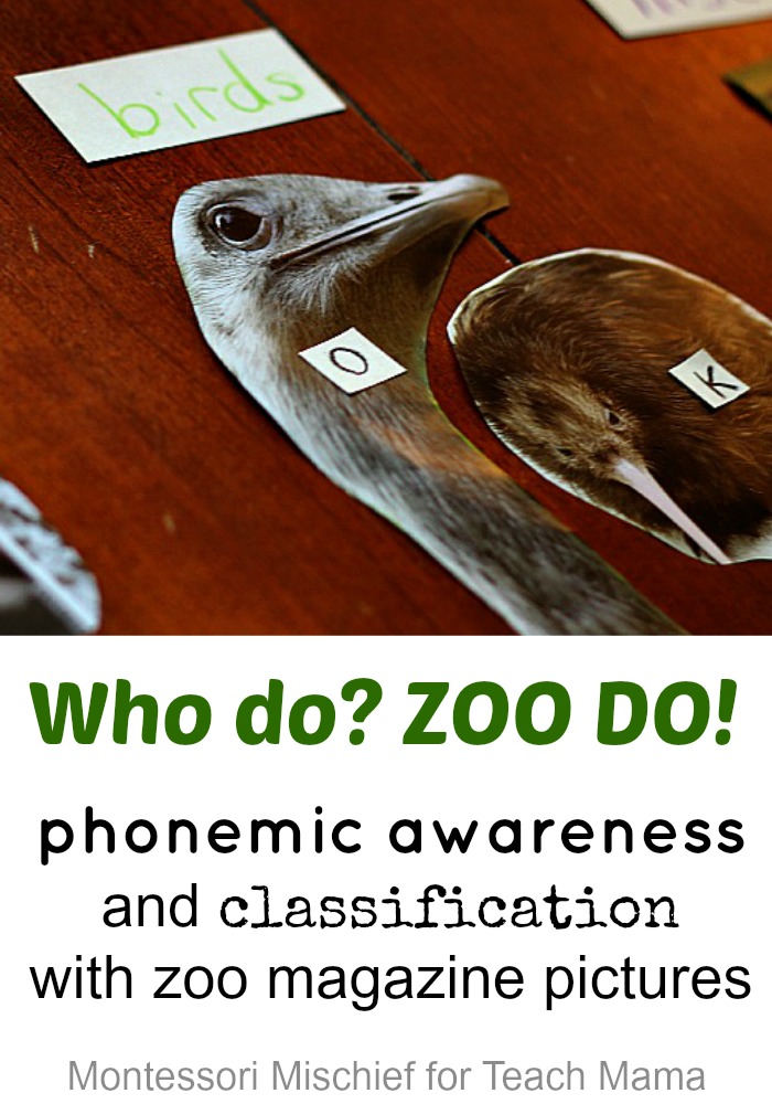 phonemic awareness and classification with zoo magazine pictures | guest post by @aubreyhargis on @teachmama #weteach
