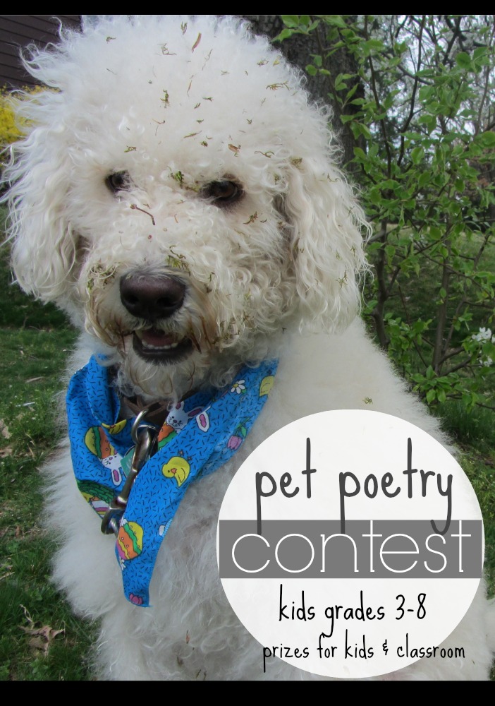 pet poetry contest | @PetsAddLife