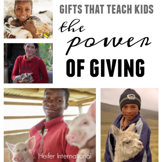 gifts that teach kids the power of giving: animal gifts from heifer international teachmama.com