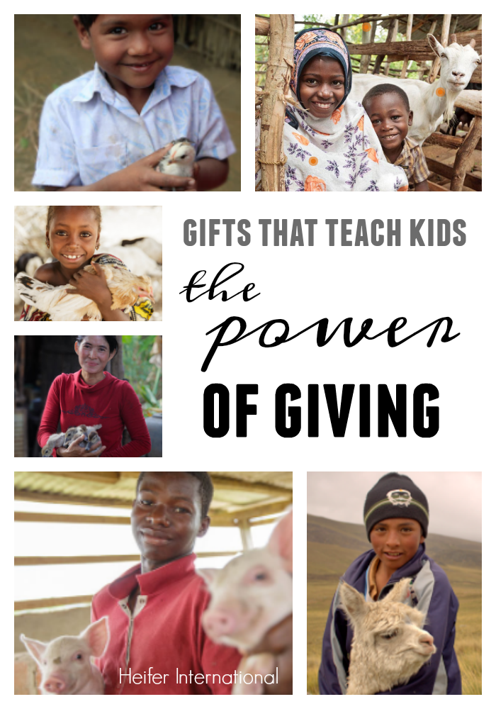 gifts that teach kids the power of giving: animal gifts from heifer international teachmama.com