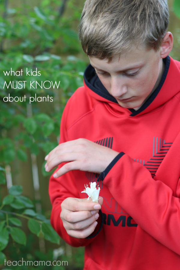 what your kids MUST know about plants: teachmama BLOOM! 