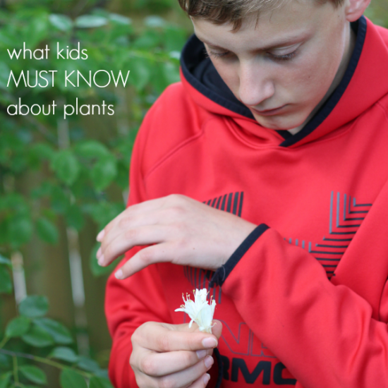 what your kids MUST know about plants teachmama BLOOM!