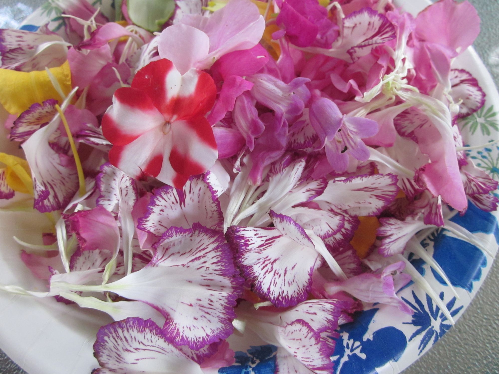 dissecting flowers 30 - teach mama