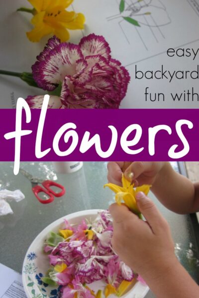 easy backyard fun with flowers: dissecting, examining, and learning about flowers