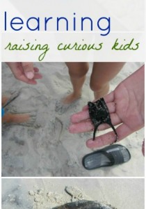 beach learning