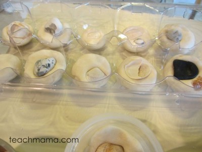 sea shell craft: simple, sea shell salt dough pretties
