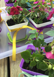 teacher appreciation gifts for all of your kids' teachers | teachmama.com