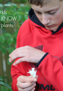 what your kids MUST know about plants teachmama BLOOM!