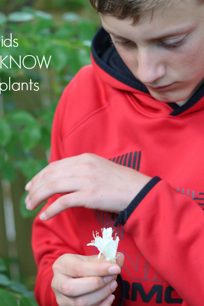 what your kids MUST know about plants teachmama BLOOM!