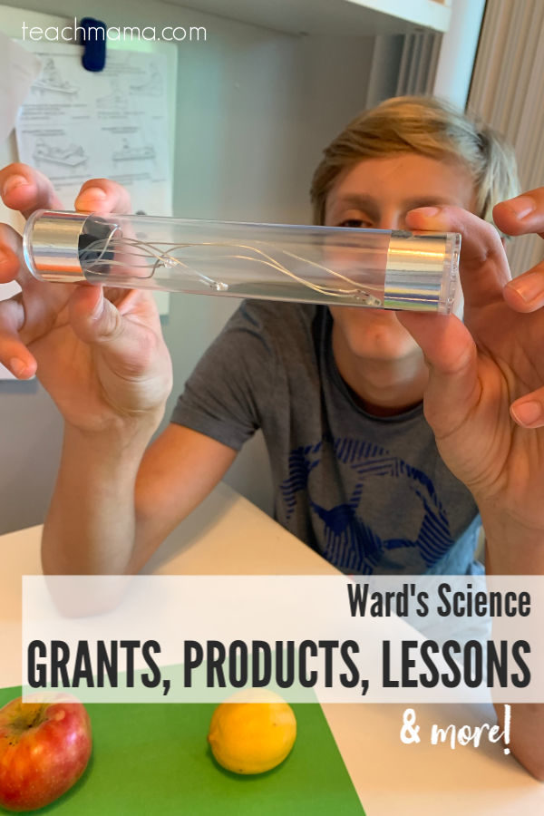 Ward's Science: grants, lessons, products and more -- boy playing with circuit