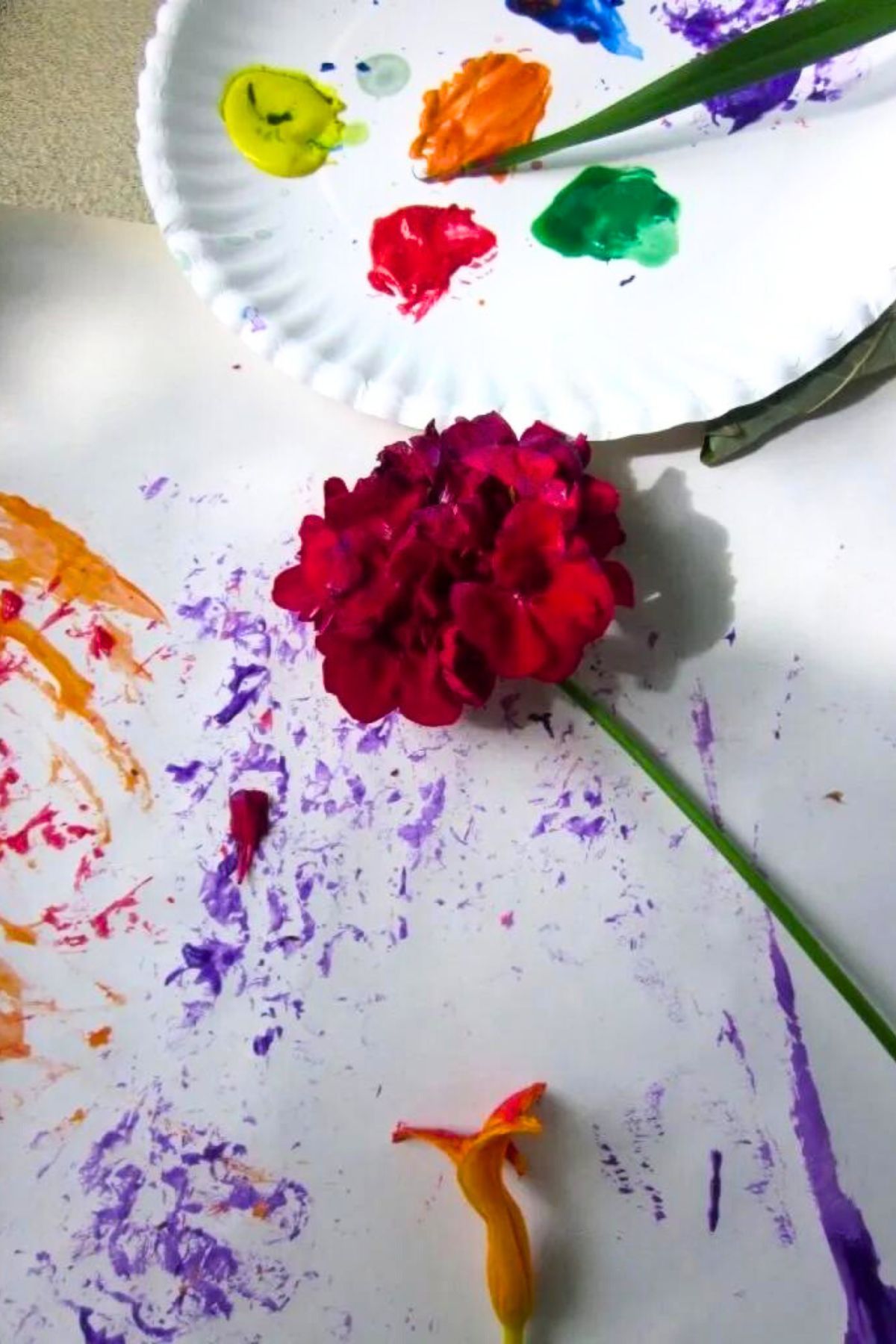 Red flower and nature colors in paint