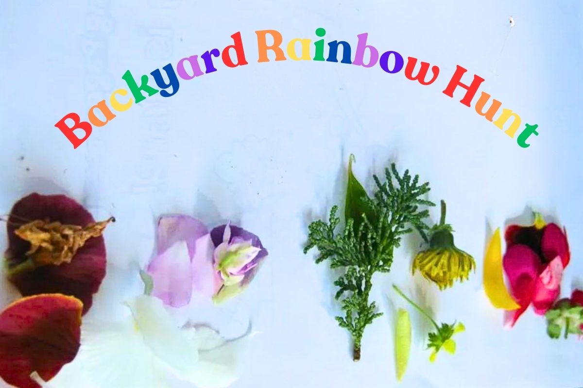 backyard rainbow hunt Natural materials making rainbow colors