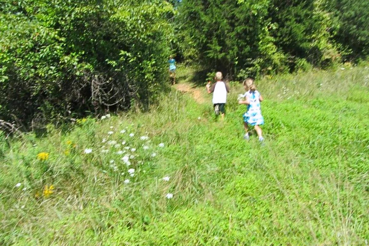Kids in a field geocaching
