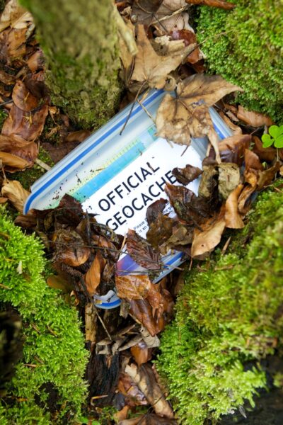 official geocached container hidden in a forest settings surrounded by leaves