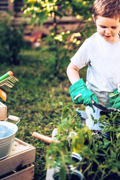 Little boy planting plants in an outdoor garden