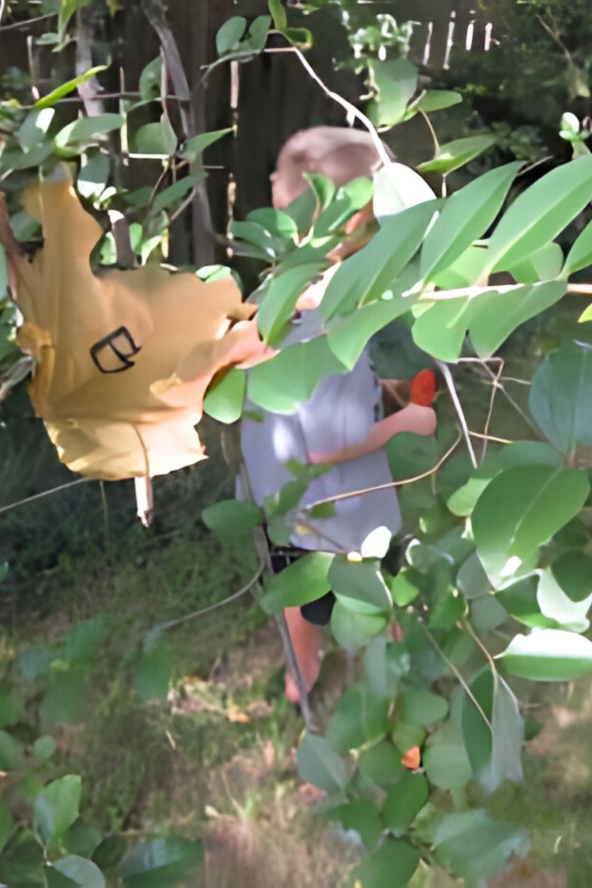 leafy outdoor abc hunt Brown leaf with a handwritten G hanging in a tree branch with a boy and girl in the background