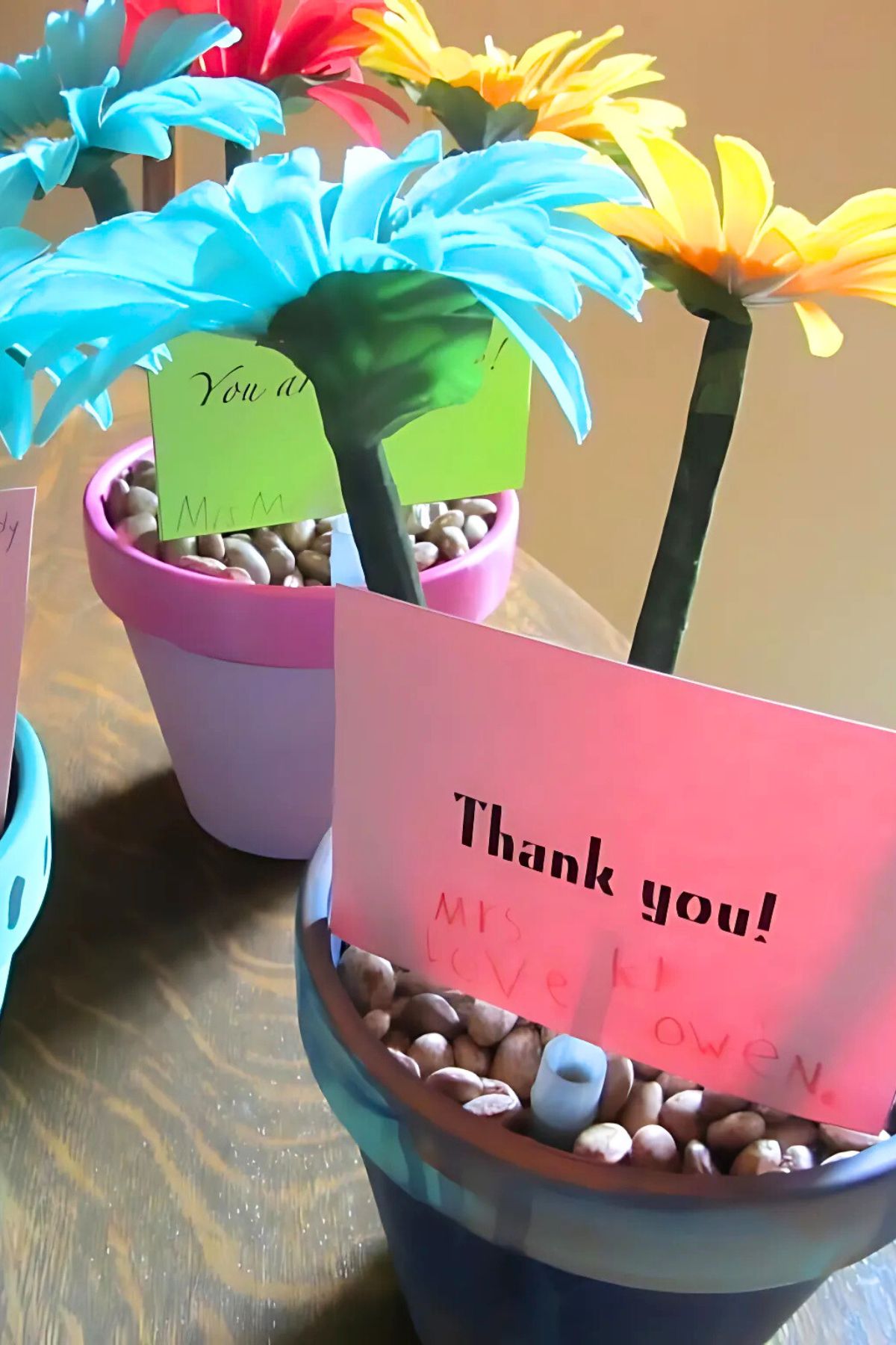 Two painted flower pots with flower pens and thank you notes