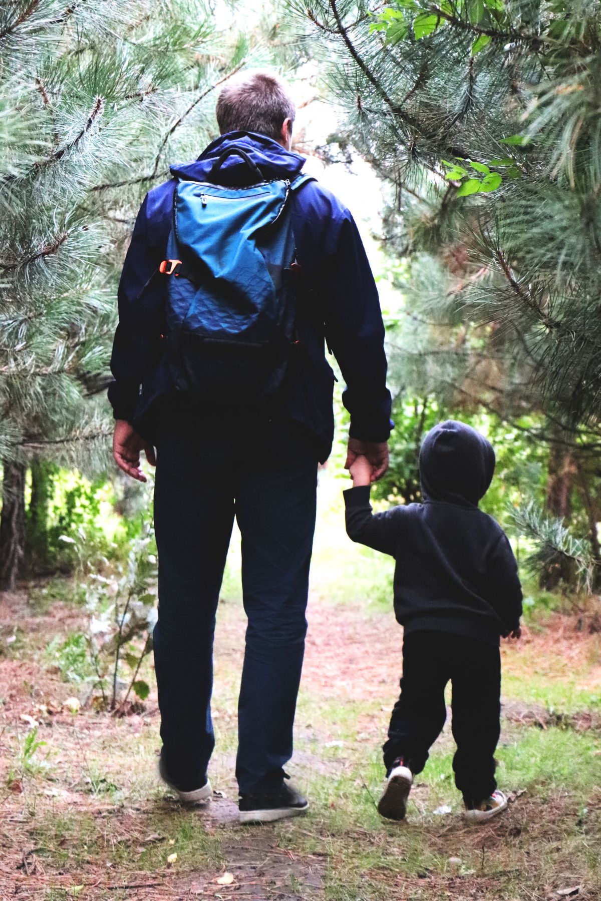 Dad and child walking through a forest holding hands
