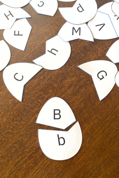 Egg shapes printed on white card stock on a wooden table. Each egg has an upper case letter on the top and a lower case letter on the bottom.