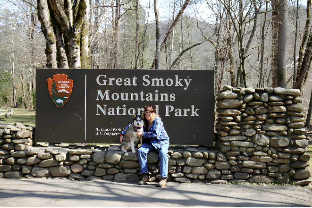 Smart Tips for Planning a Vacation with Your Dog